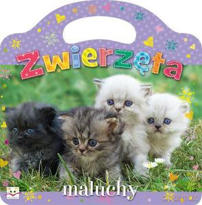 Zwierzęta - maluchy [KSIĄŻKA]