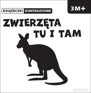 Zwierzęta tu i tam. Książeczki kontrastowe - Bárdos Krystyna [KSIĄŻKA]