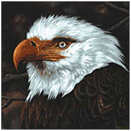 Mogwai: The Hawk Is Howling [CD]
