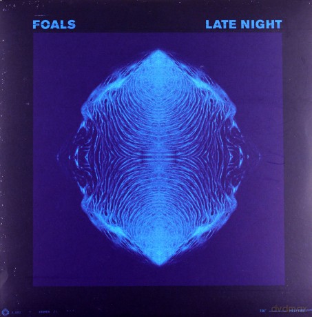 Foals: Late Night [Winyl]
