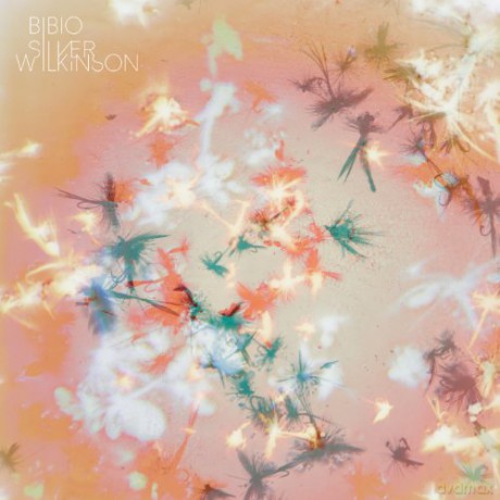 Bibio: Silver Wilkinson [CD]
