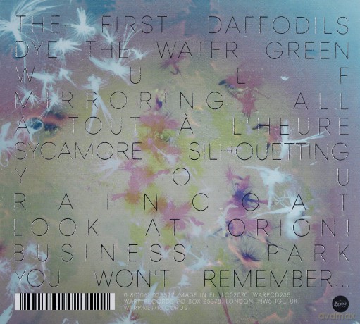 Bibio: Silver Wilkinson [CD]