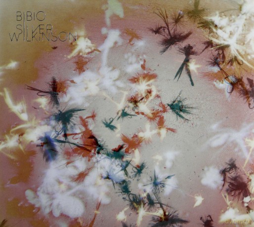 Bibio: Silver Wilkinson [CD]