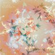 Bibio: Silver Wilkinson [WINYL]