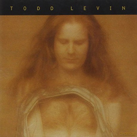 Levi/Todd: Ride The Planet [CD]