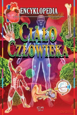 Encyklopedia ciało człowieka [KSIĄŻKA]