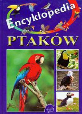 Encyklopedia ptaków - Anna Matusiak [KSIĄŻKA]