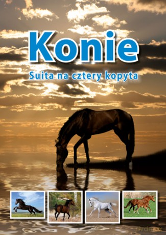 Konie Suita na cztery kopyta - Jolanta Reisch [KSIĄŻKA]