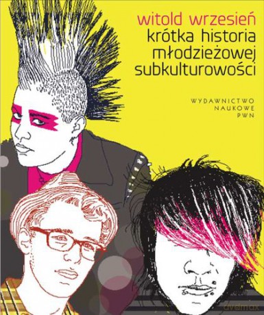 Krótka historia młodzieżowej subkulturowości - Witold Wrzesień [KSIĄŻKA]