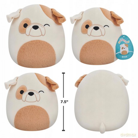 Squishmallows Maskotka Mrugający buldog z puszystym brzuchem Brock 19 cm 