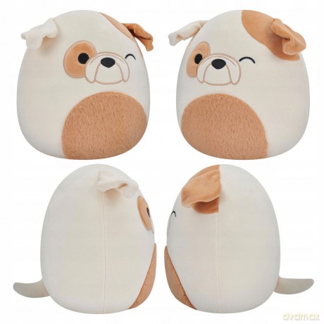 Squishmallows Maskotka Mrugający buldog z puszystym brzuchem Brock 19 cm 