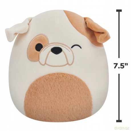 Squishmallows Maskotka Mrugający buldog z puszystym brzuchem Brock 19 cm 