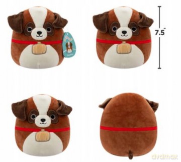 Squishmallows Maskotka Bernardyn Sassafras 19 cm 