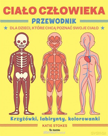 Ciało człowieka. Przewodnik dla dzieci, które... - Katie Stokes, Christy Ni [KSIĄŻKA]