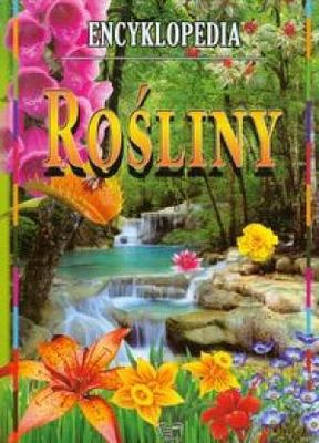 Rośliny. Encyklopedia [KSIĄŻKA]