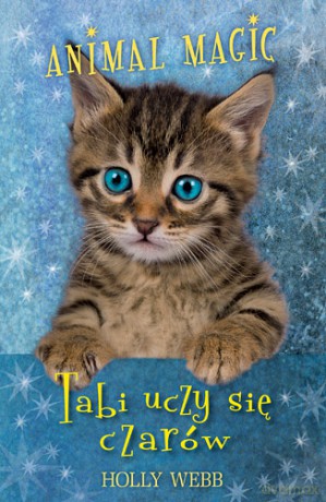 Tabi uczy się czarów. Animal Magic - Holly Webb [KSIĄŻKA]