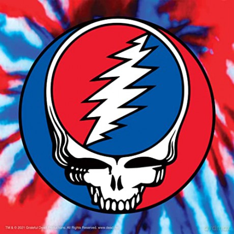 Grateful Dead: Grateful Dead - Dancing Bear (Ashbury Orange) Reaction Figure