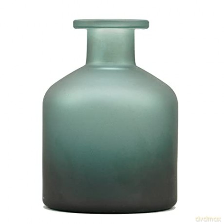 Harry Potter: Potion Vase Glass (11Cm) - Harry Potter (Proud Slytherin)