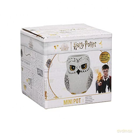 Harry Potter: Pot Shaped Small Boxed - Harry Potter (Hedwig)