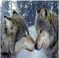 Diamentowa mozaika dwa wilki zimowy las NO-1008519
