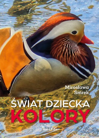 Świat dziecka. Kolory - Mirosława Smrek [KSIĄŻKA]