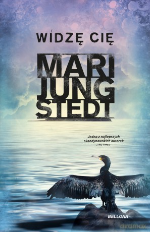 Widzę cię - Mari Jungstedt [KSIĄŻKA]