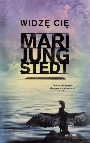 Widzę cię - Mari Jungstedt [KSIĄŻKA]