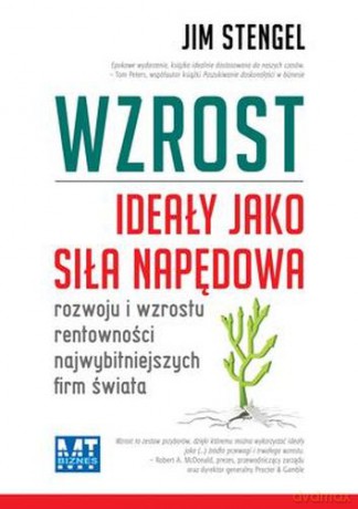 Wzrost Ideały jako siła napędowa - Jim Stengel [KSIĄŻKA]