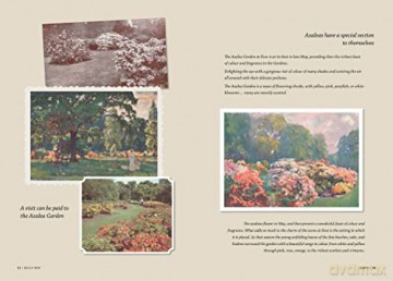 Hello Kew Scrapbook - Sophie Shillito [KSIĄŻKA]