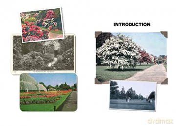 Hello Kew Scrapbook - Sophie Shillito [KSIĄŻKA]