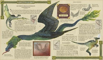 Dragonology Hb - Dugald Steer [KSIĄŻKA]