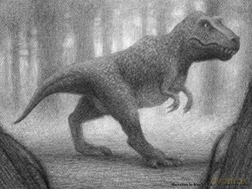 Big Tree - Brian Selznick [KSIĄŻKA]