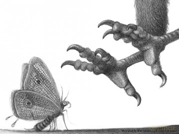 Big Tree - Brian Selznick [KSIĄŻKA]