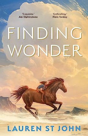 Finding Wonder - Lauren John [KSIĄŻKA]