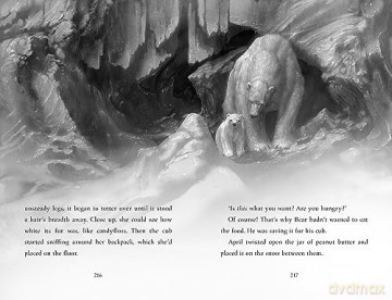 Finding Bear - Hannah Gold [KSIĄŻKA]