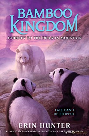 Bamboo Kingdom 3 Journey To The Dragon M - Erin Hunter [KSIĄŻKA]