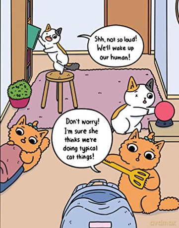 Cat Cat Adventures Book Pb - Susie Yi [KSIĄŻKA]