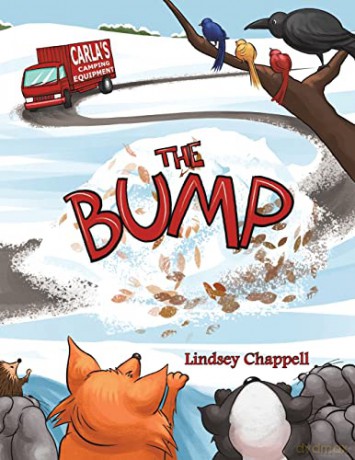 Bump - Lindsey Chappell [KSIĄŻKA]