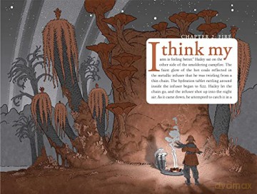 Battle For Wondla - Tony Diterlizzi [KSIĄŻKA]