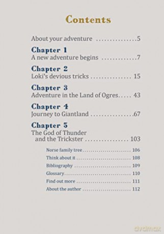 Can You Succeed On An Epic Norse Adventu - Bruce Berglund [KSIĄŻKA]