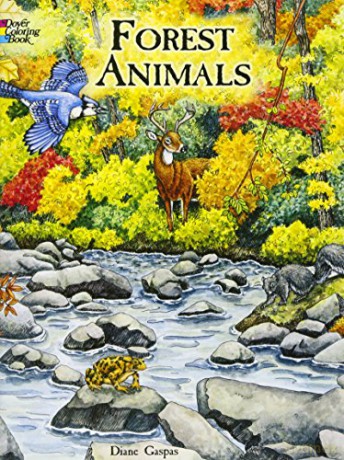 Forest Animals Colouring Book - Gaspas [KSIĄŻKA]
