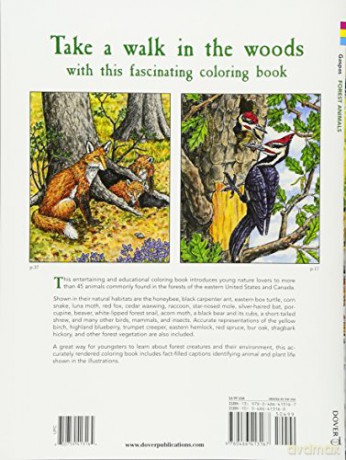 Forest Animals Colouring Book - Gaspas [KSIĄŻKA]