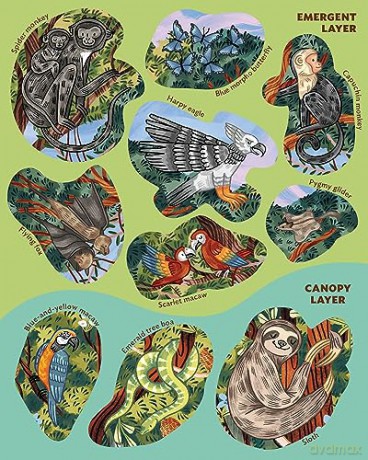 Creatures Of The Rainforest Sticker Post - Fiona Ocea Simmance [KSIĄŻKA]