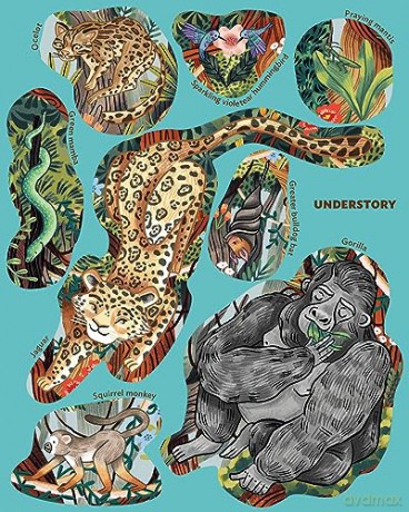 Creatures Of The Rainforest Sticker Post - Fiona Ocea Simmance [KSIĄŻKA]