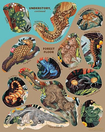 Creatures Of The Rainforest Sticker Post - Fiona Ocea Simmance [KSIĄŻKA]