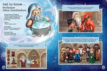 Harry Potter Official Yearbook 2024 - Buster Books [KSIĄŻKA]