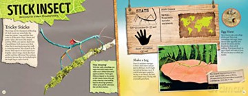 Amazing World Bugs - L J Tracosas [KSIĄŻKA]