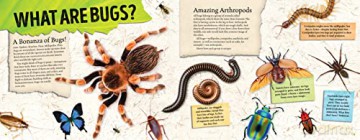 Amazing World Bugs - L J Tracosas [KSIĄŻKA]