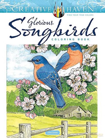 Glorious Songbirds - John Green [KSIĄŻKA]