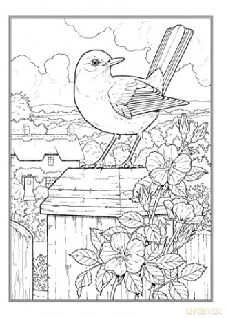 Glorious Songbirds - John Green [KSIĄŻKA]